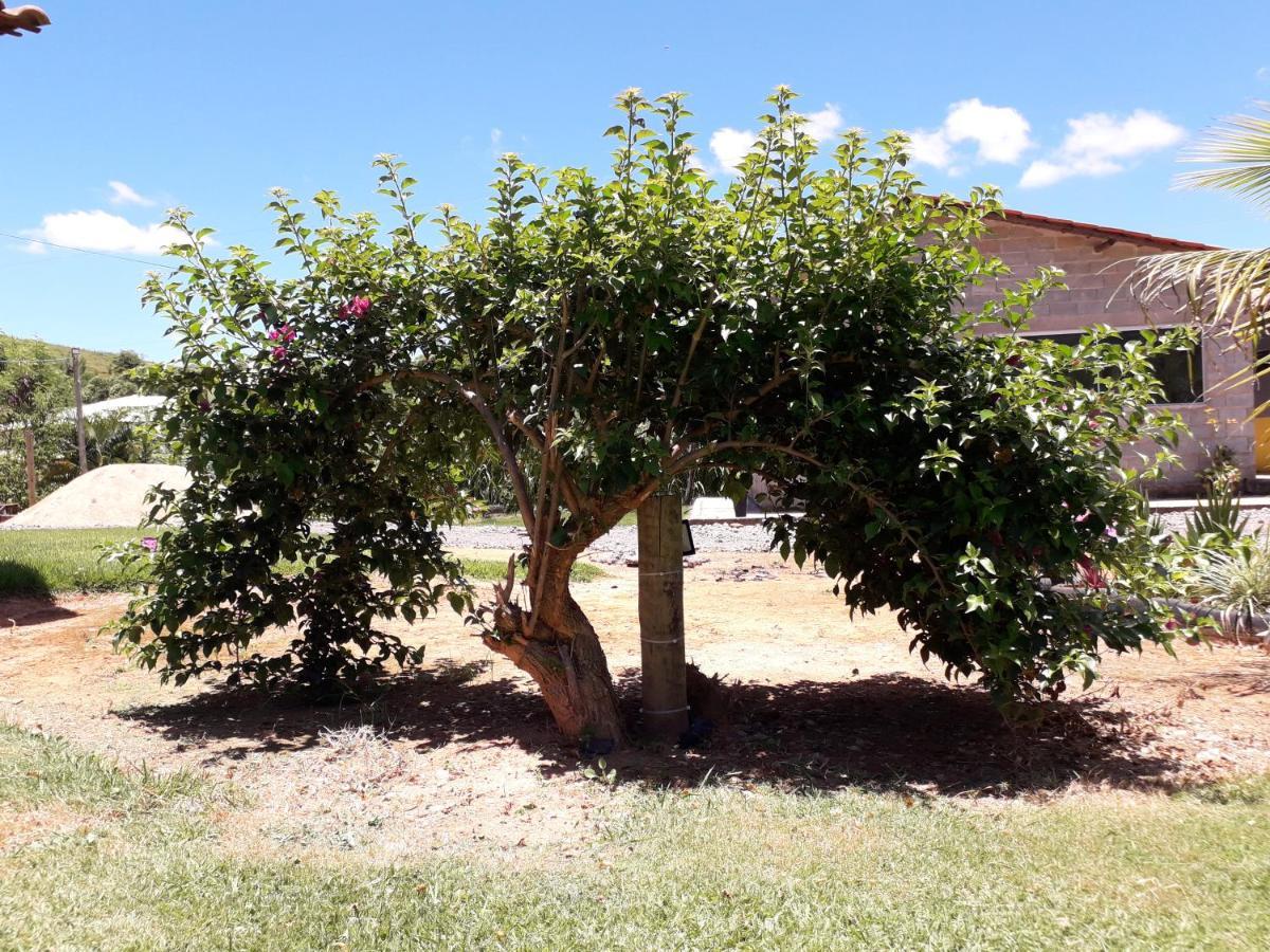 Apartamento Chácara Família H Caratinga Exterior foto
